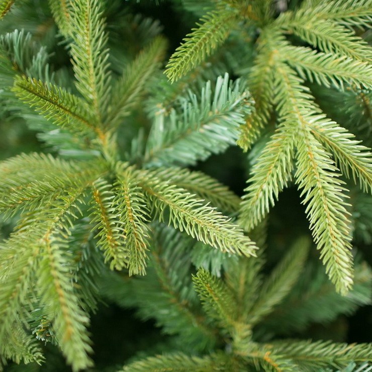 Ель искусственная Green Trees Форесто Премиум 150 см
