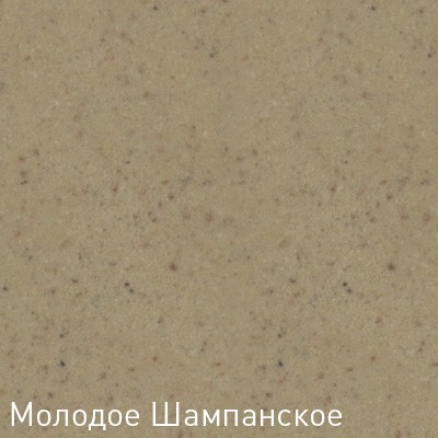Кухонная мойка Zigmund & Shtain Integra 500.2 гранитная Молодое шампанское