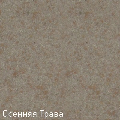 Кухонная мойка Zigmund & Shtain Integra 500.2 гранитная Осенняя трава
