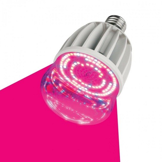 Лампа светодиодная Uniel LED-M80-20W/SP/E27/CL ALS55WH для растений