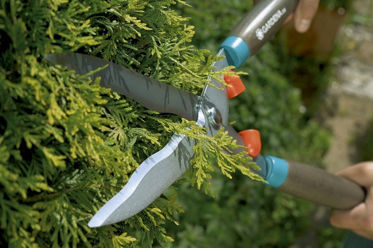 Ножницы для живой изгороди Gardena 540 FSC Classic 00398