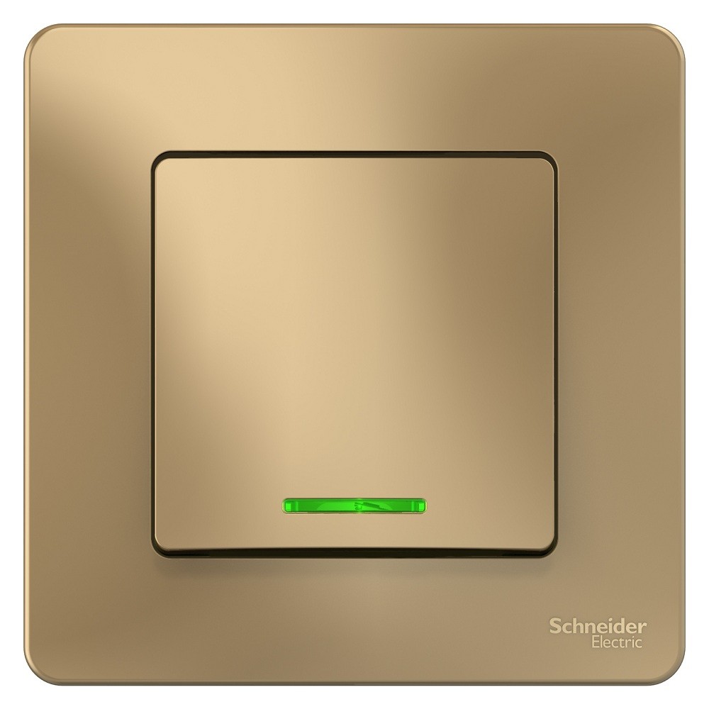 Выключатель Schneider Electric Blanca BLNVS010114 одноклавишный с индикатором титан
