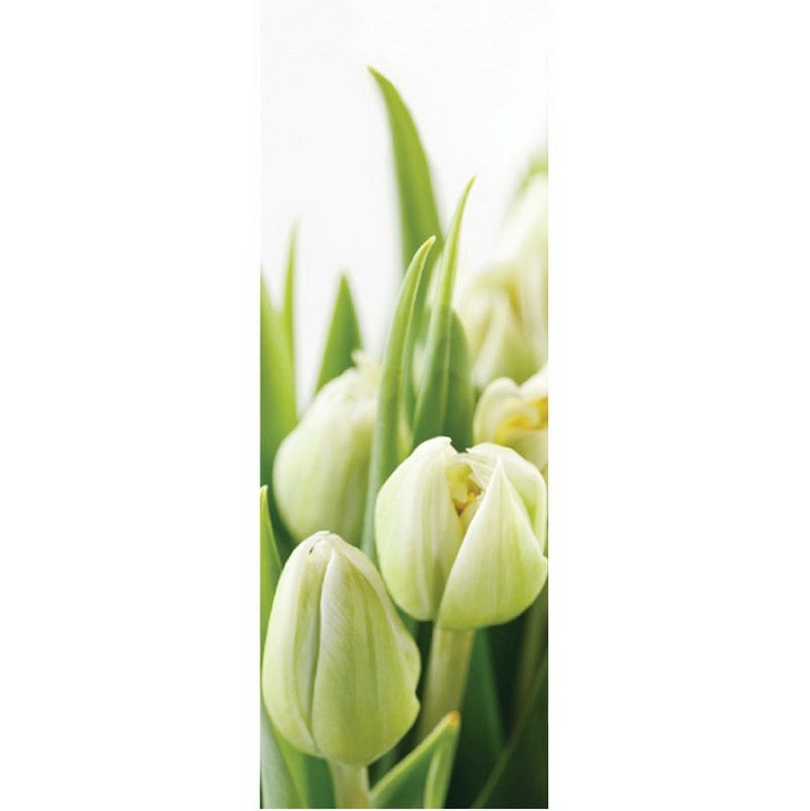 Фотообои виниловые на флизелиновой основе Decocode Белые тюльпаны 11-0160-FG 1х2,8 м   