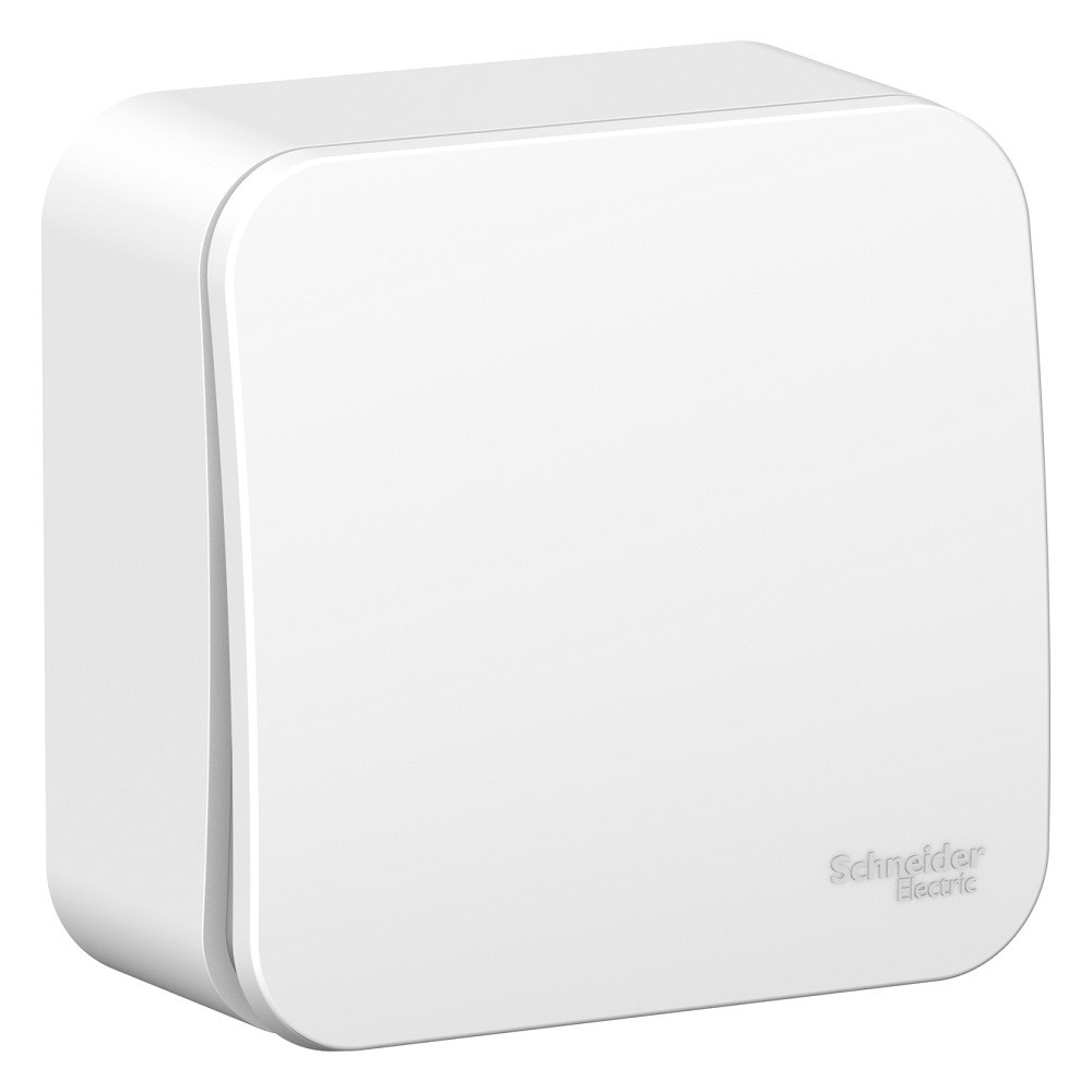 Переключатель Schneider Electric Blanca BLNVA106011 одноклавишный с изолирующей пластиной белый
