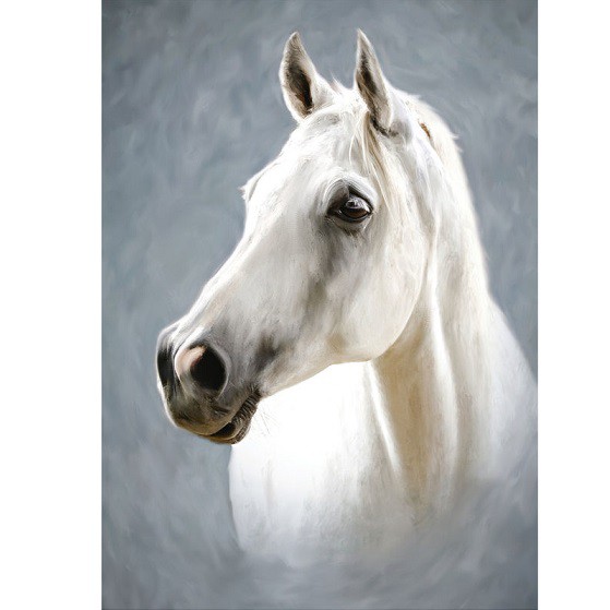 Фотообои виниловые на флизелиновой основе Decocode Белая лошадь 21-0129-NL 2х2,8 м