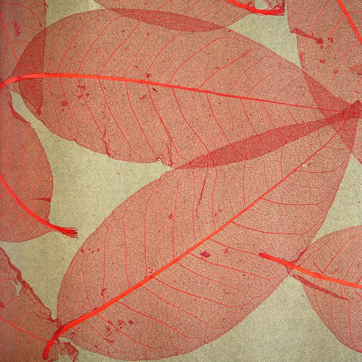 Обои натуральные Дизайн Тропик покрытие Листья S-12