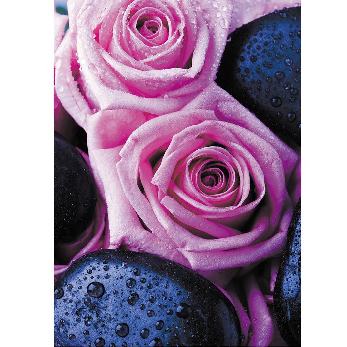Фотообои виниловые на флизелиновой основе Decocode Бурбонская роза 21-0336-FR 2х2,8 м