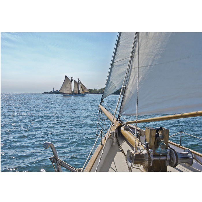 Фотообои бумажные Komar Sailing 8-526 3,68х2,54 м