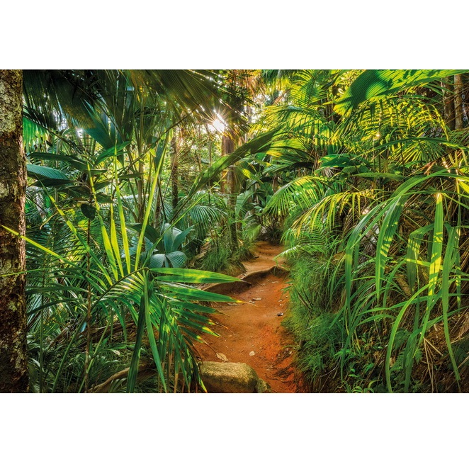 Фотообои бумажные Komar Тропинка в джунглях 8-989 3,68х2,54 м