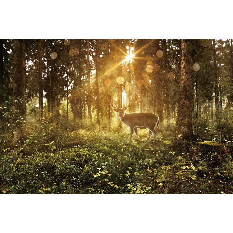 Фотообои виниловые на флизелиновой основе Decocode Лесной олень 32-0006-PG 3х2 м