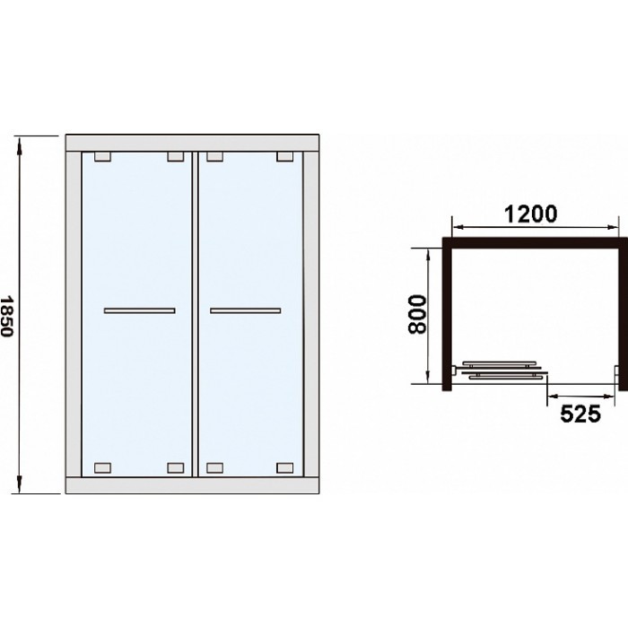 Душевая дверь в нишу Weltwasser WW550 550SC2-120 1200х1950 мм