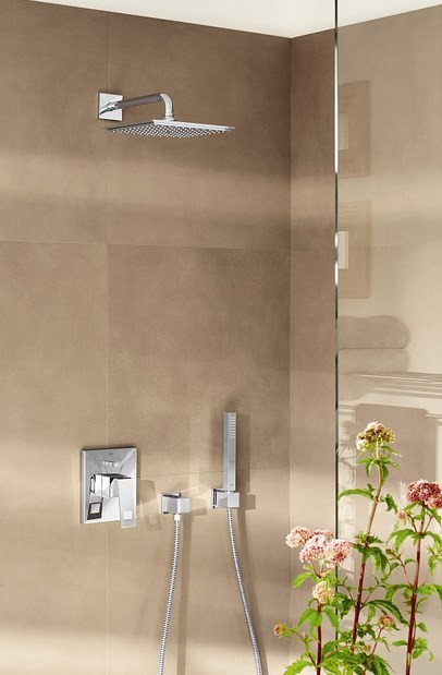 Ручной душ Grohe Euphoria Cube 27884001