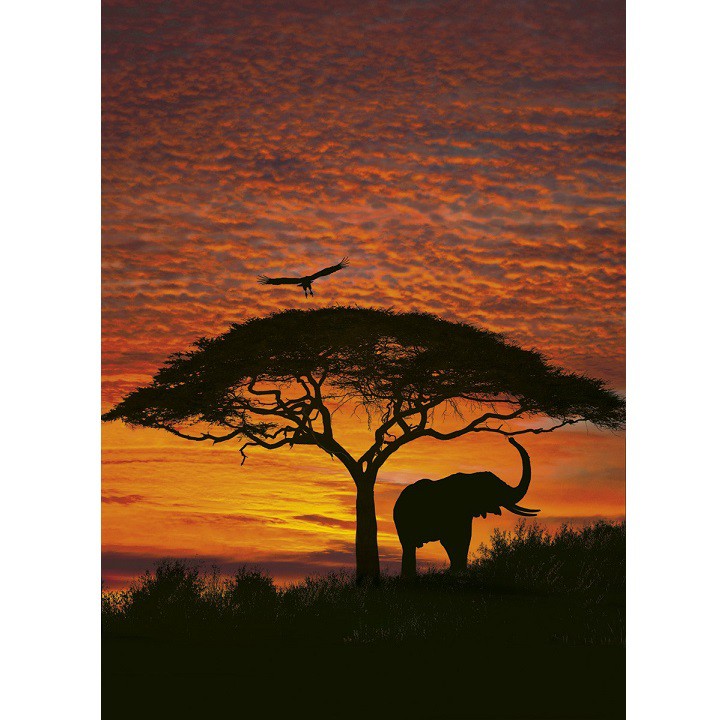 Фотообои бумажные Komar African Sunset 4-501 1,94х2,70 м