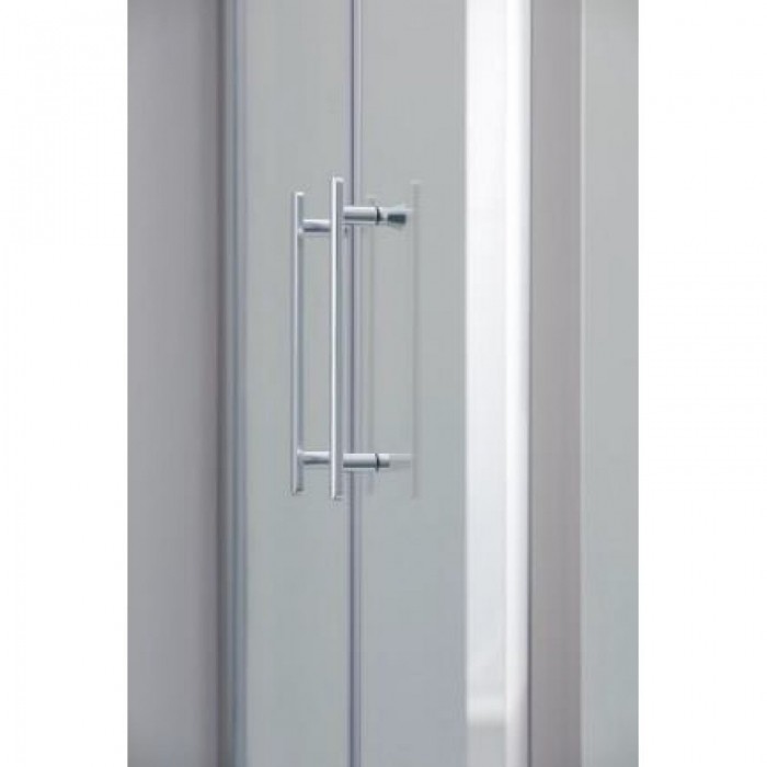 Душевая дверь в нишу SSWW LD60-Y22 1950х1100 мм