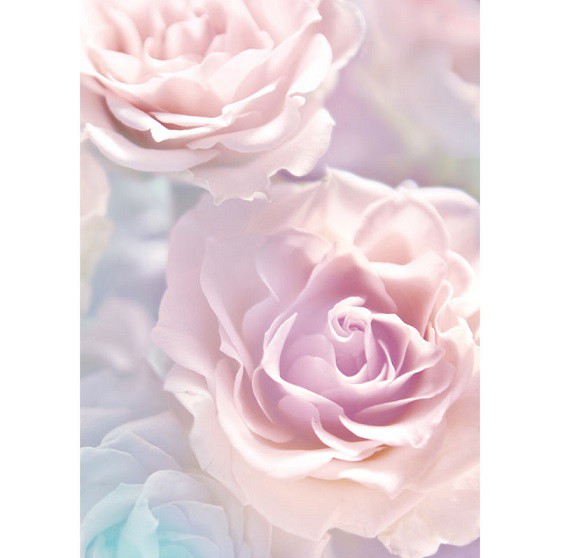 Фотообои виниловые на флизелиновой основе Decocode Розовые розы 21-0146-FR 2х2,8 м