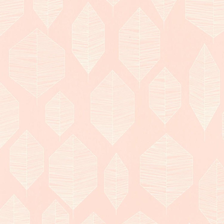 Обои виниловые на флизелиновой основе AS Creation Colibri 36209-1