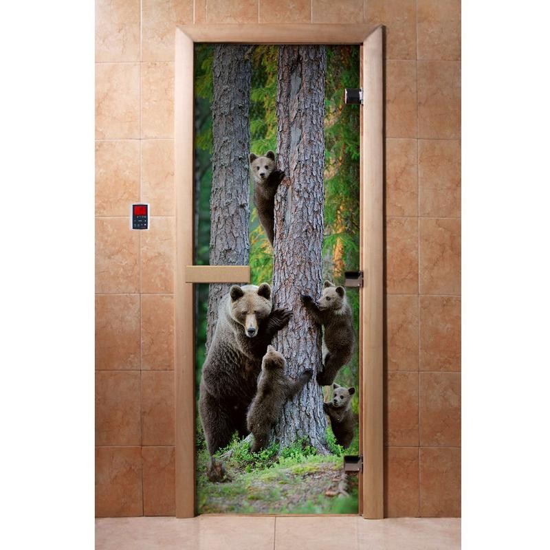 Дверь для сауны стеклянная Doorwood Фотопечать A064 700х1900 мм
