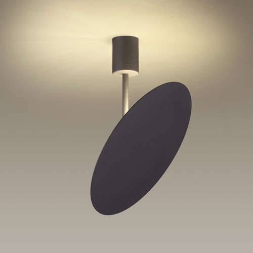 Светильник настенно-потолочный светодиодный Odeon Light Whittaker 3844/12CL черный 12W 220V