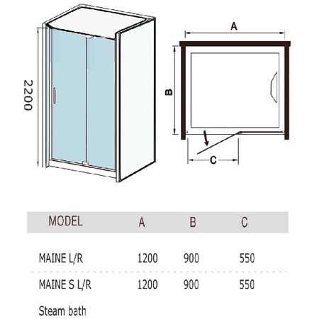 Душевая кабина Weltwasser WW1000 Maine S L 1200х900x2200 мм с паром