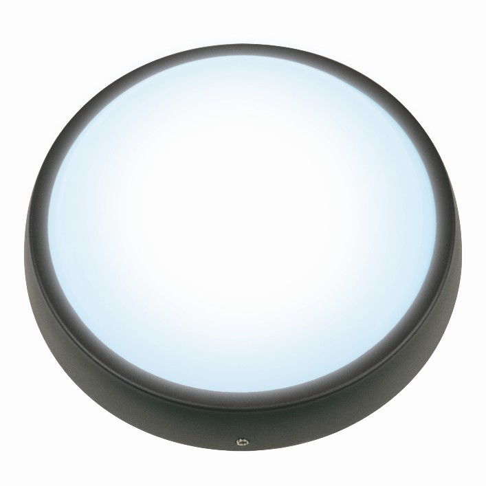 Светильник светодиодный Uniel ULW-R01-6W/DW Black влагозащищенный