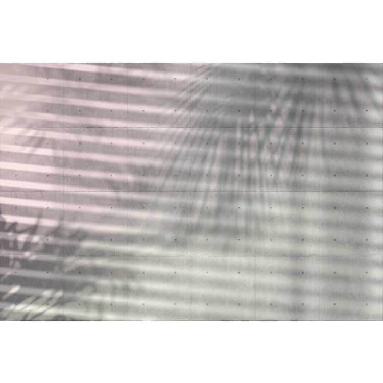 Фотообои флизелиновые Komar Shadow XXL4-059 3,68х2,48 м