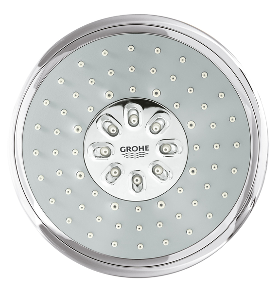 Ручной душ Grohe Power&Soul 27673000