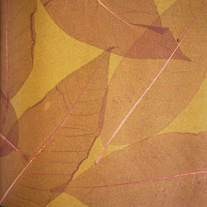 Обои натуральные Дизайн Тропик покрытие Листья S-10