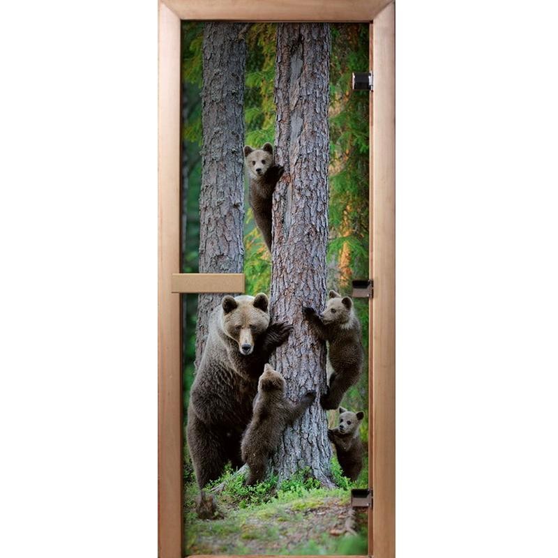 Дверь для сауны стеклянная Doorwood Фотопечать A064 800х2000 мм