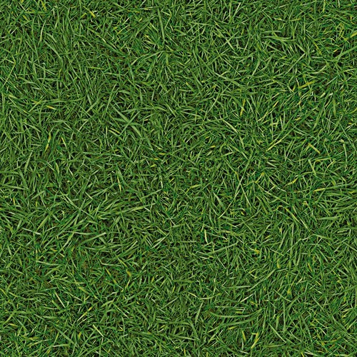 Линолеум полукоммерческий IVC Vision Grass T25 3,5х30 м
