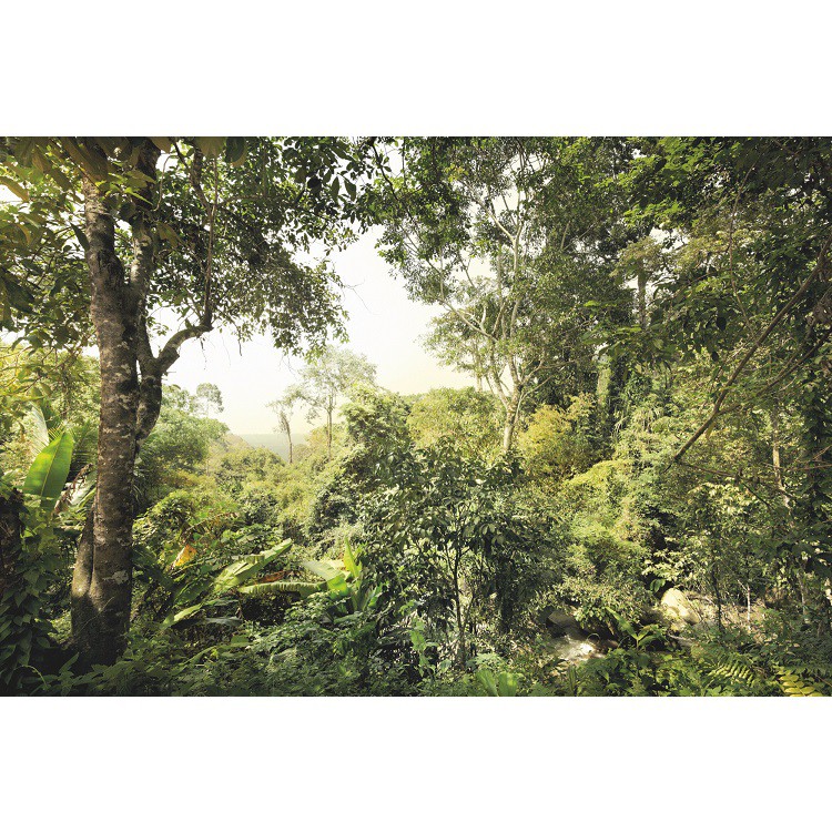 Фотообои флизелиновые Komar Dschungel XXL4-024 3,68х2,48 м