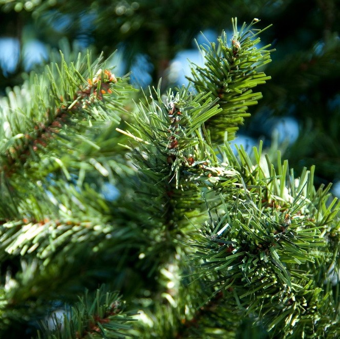 Ель каркасная уличная Green Trees Уральская 900 см