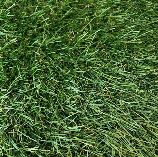 Трава искусственная Condor Grass Apollo 3011 4 м резка
