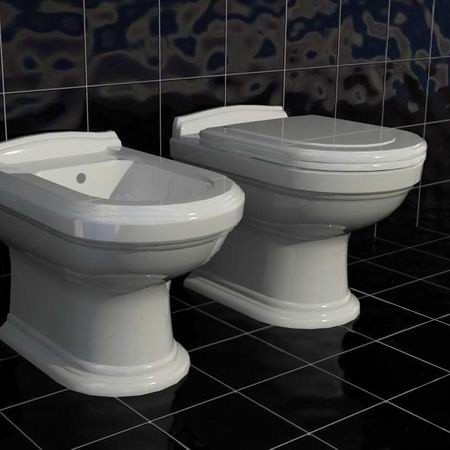 Унитаз приставной Villeroy & Boch Hommage 666310R2