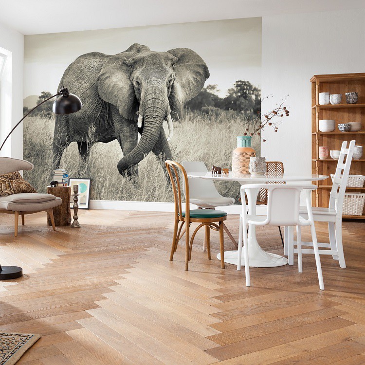 Фотообои флизелиновые Komar Elephant XXL4-529 3,68х2,48 м