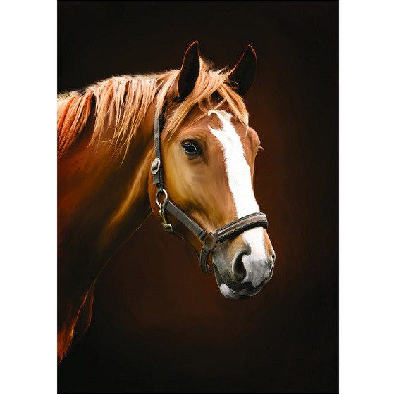 Фотообои виниловые на флизелиновой основе Decocode Лошадь 21-0075-NE 2х2,8 м