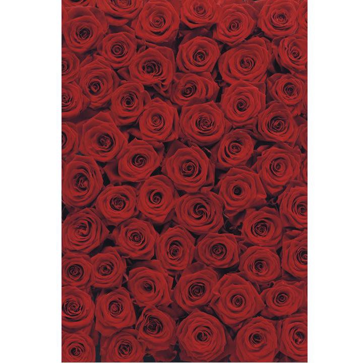 Фотообои бумажные Komar Roses 4-077 1,94х2,7 м