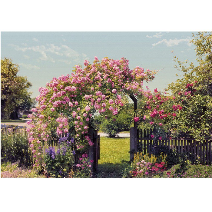 Фотообои бумажные Komar Rose Garden 8-936 3,68х2,54 м