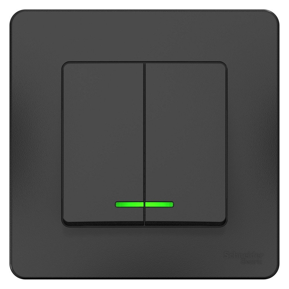 Выключатель Schneider Electric Blanca BLNVS010516 двухклавишный с индикатором антрацит