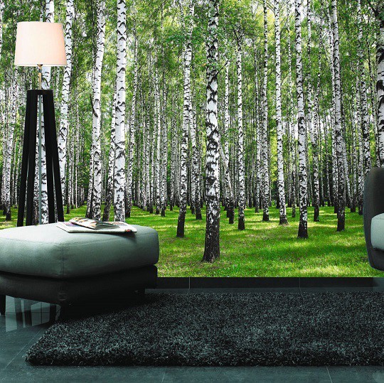 Фотообои виниловые на флизелиновой основе Decocode Роща 41-0259-PG 4х2,8 м