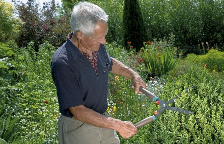 Ножницы для живой изгороди Gardena 540 FSC Classic 00391