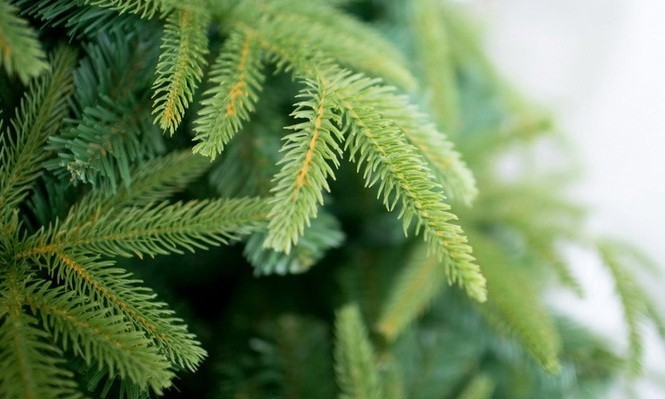 Ель искусственная Green Trees Форесто Премиум 150 см